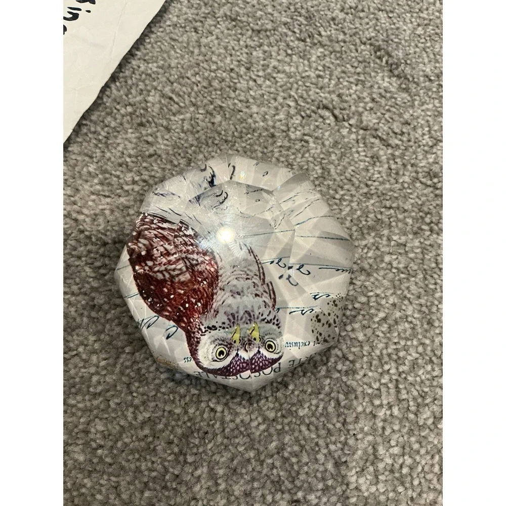 Octagon Faceted Shaped Paperweight With Owl Inside